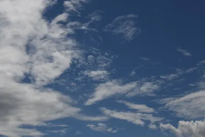 DSC_6286 (Large).JPG